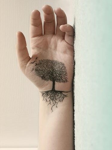 Árbol con raíces