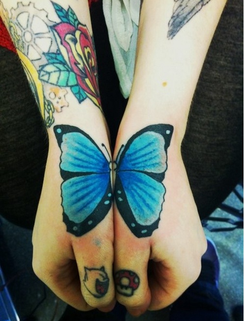 Mariposa turquesa y azul