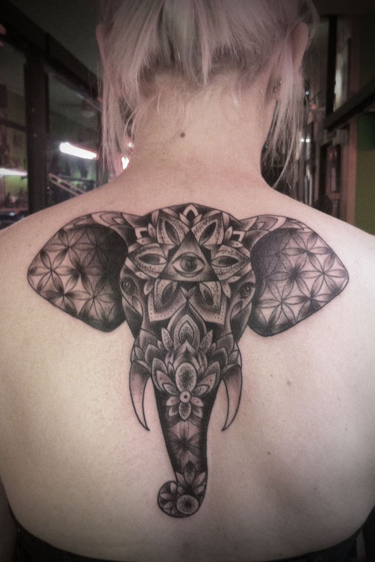 Elefante hindú, Flores, Ojo