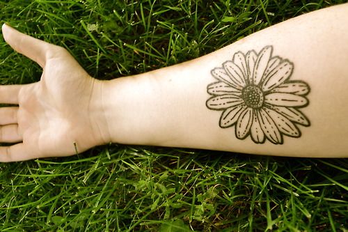 Flor Rayito de Sol