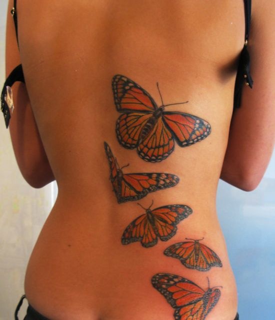Mariposa Roja y Naranja