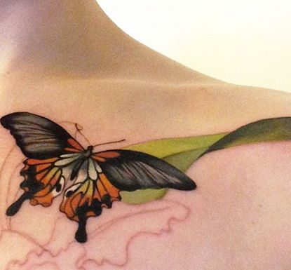 Mariposa sobre Hoja verde