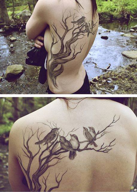 Árbol de ramas gruesas con aves