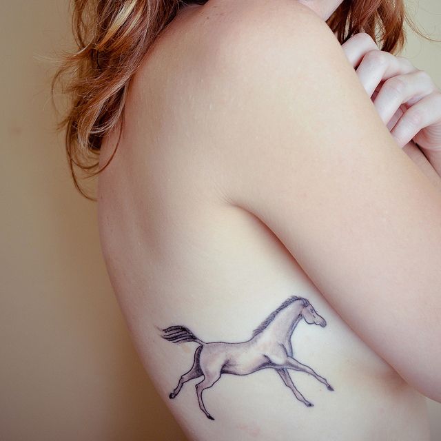 Caballo trotando
