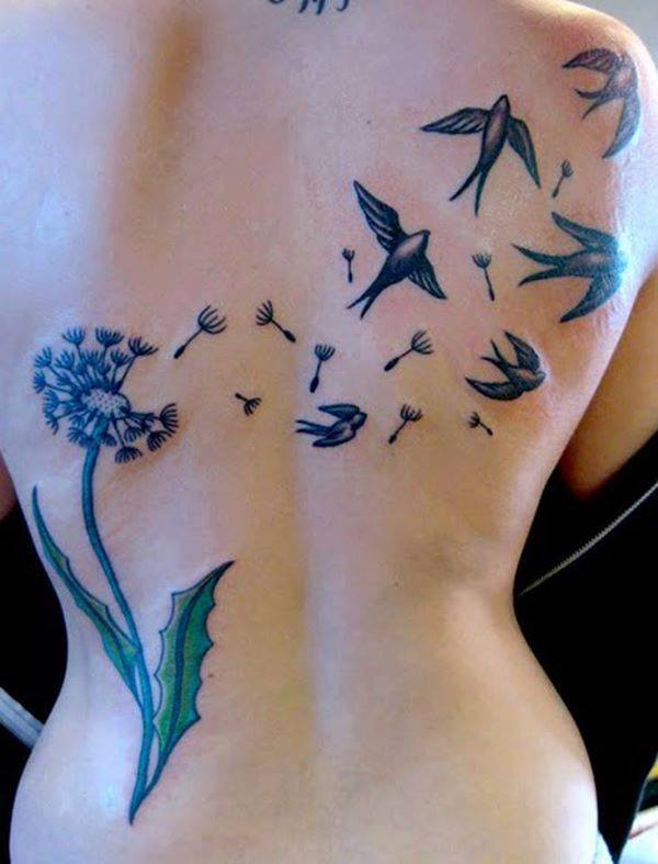 Diente de León, Espigas y Aves