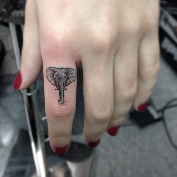 Elefante de gran trompa