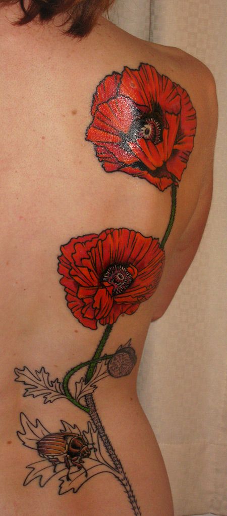 Flores Rojas y Escarabajo