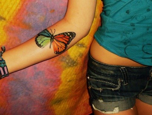 Mariposa de Cuatro Colores