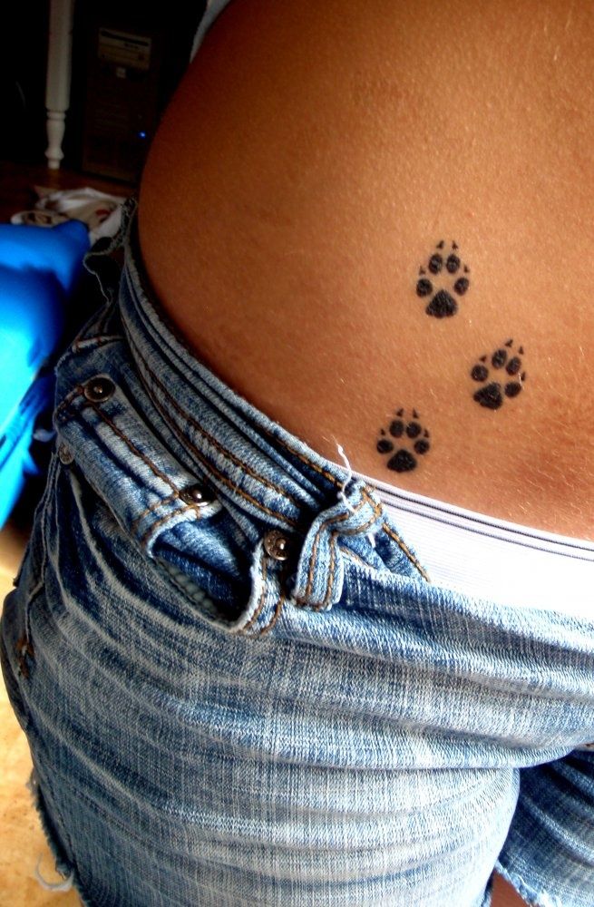 Patitas de Oso