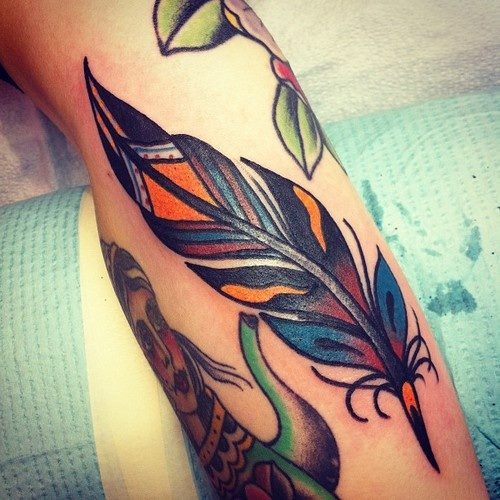 Pluma de colores