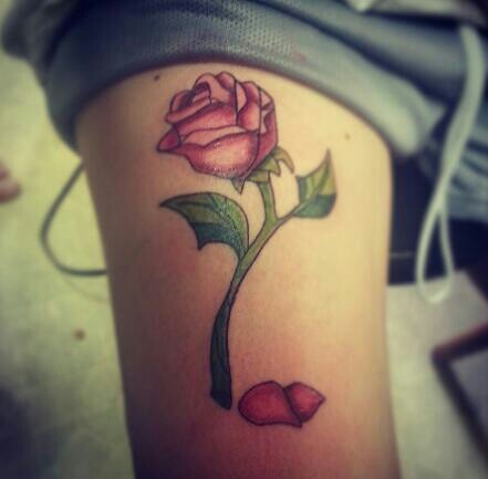 Rosa de Petalos Caídos