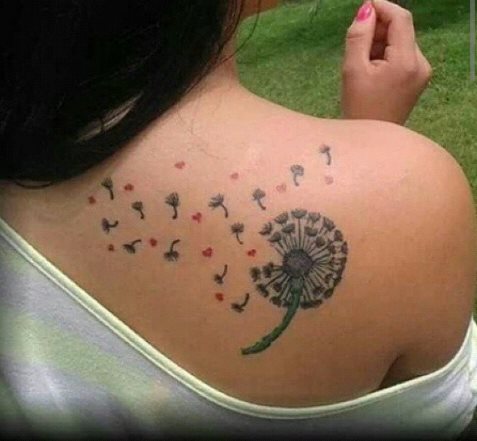 Diente de León, Espigas y Corazones