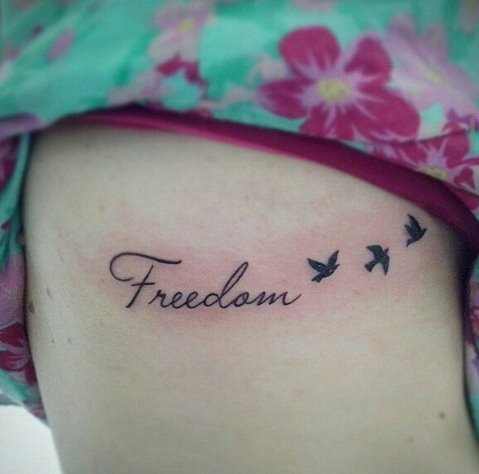 Frase: Freedom y Aves
