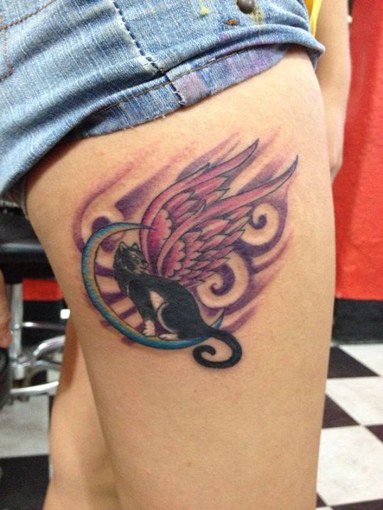 Gato con alas sobre la luna