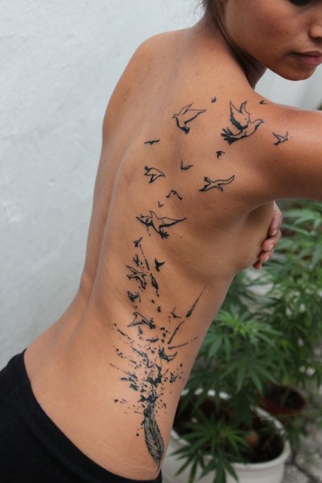 Pluma de Aves volando