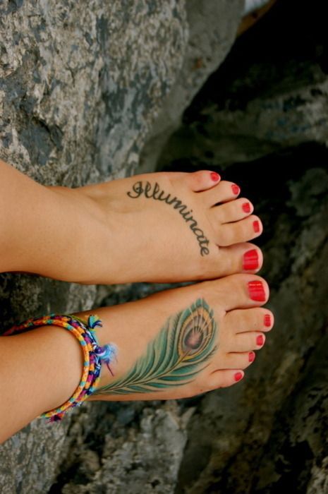 Pluma & Frase: Illuminate