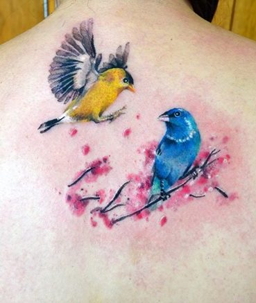 Aves en Acuarelas by Javi Wolf