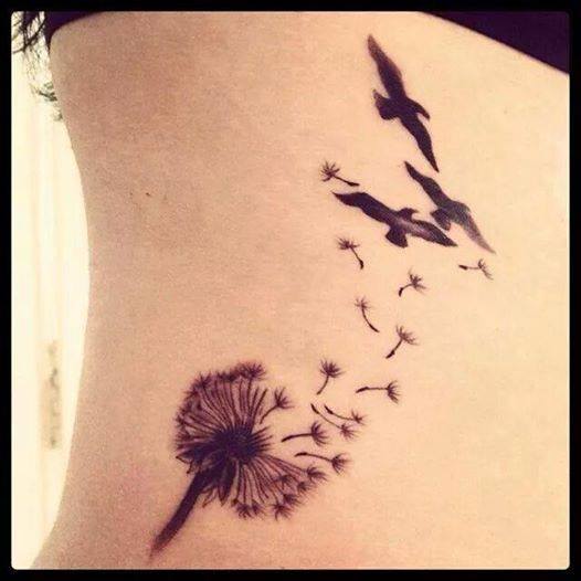 Aves, Diente de León y Espigas