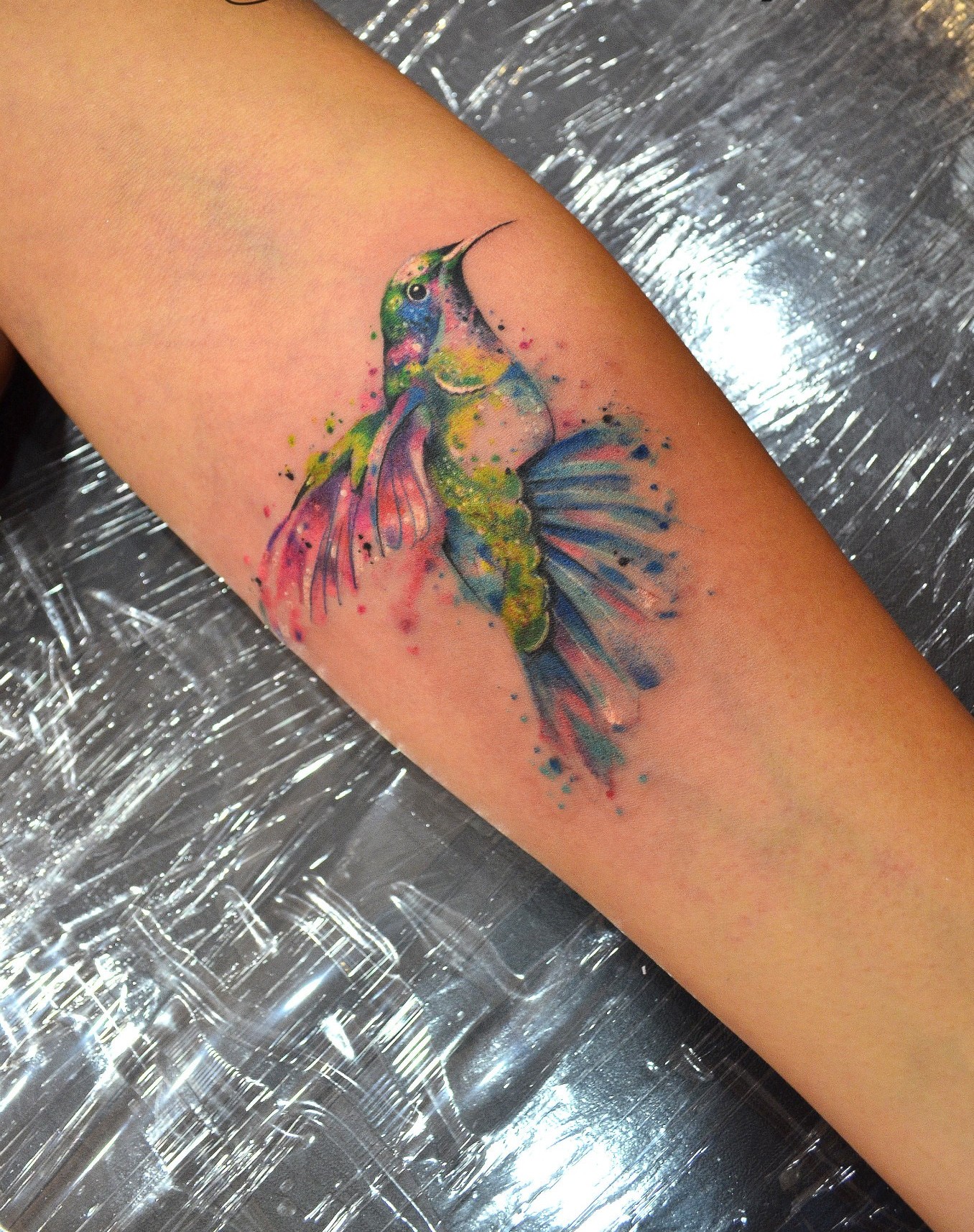 Colibri en Acuarelas by Javi Wolf