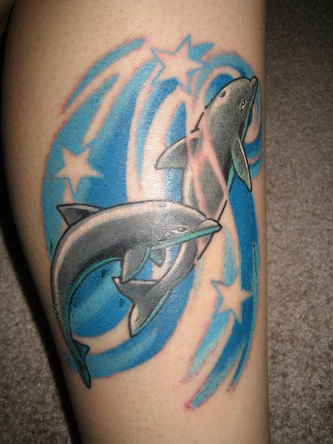 Delfines, Estrellas y Agua