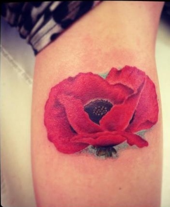 Flor de Amapola