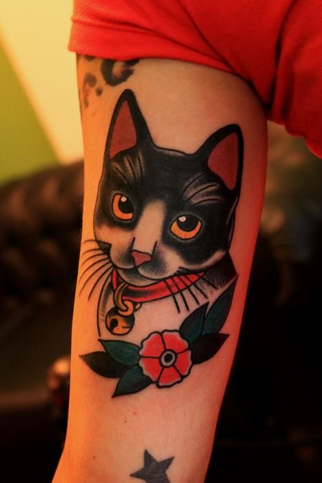 Gato con cascabel