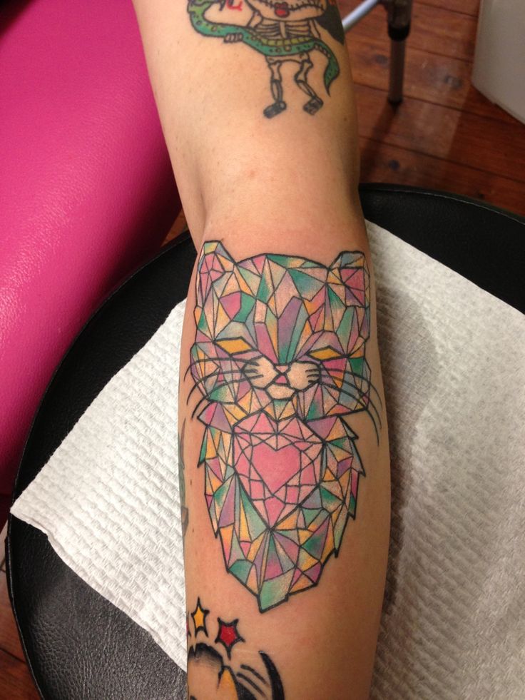 Gato de Cristal by Lauren Winzer
