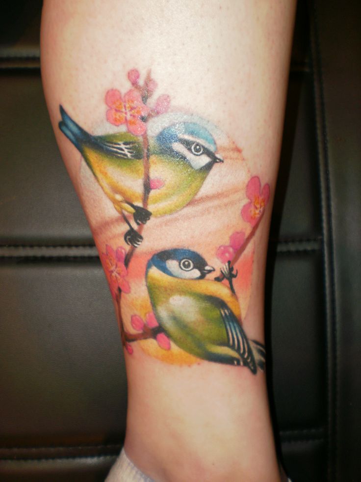 Pájaros & Flores