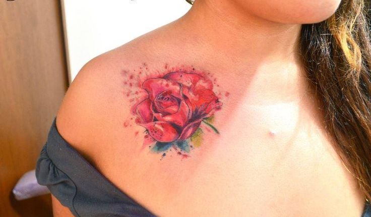 Rosa en Acuarelas by Javi Wolf