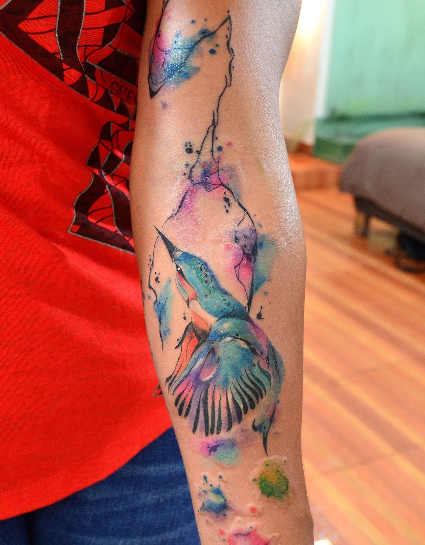 Colibrí en Rama Acuarelas by Javi Wolf