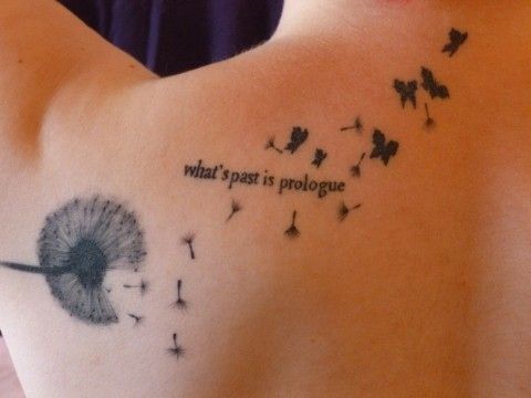 Diente de León, Espigas y Mariposas volando con Frase