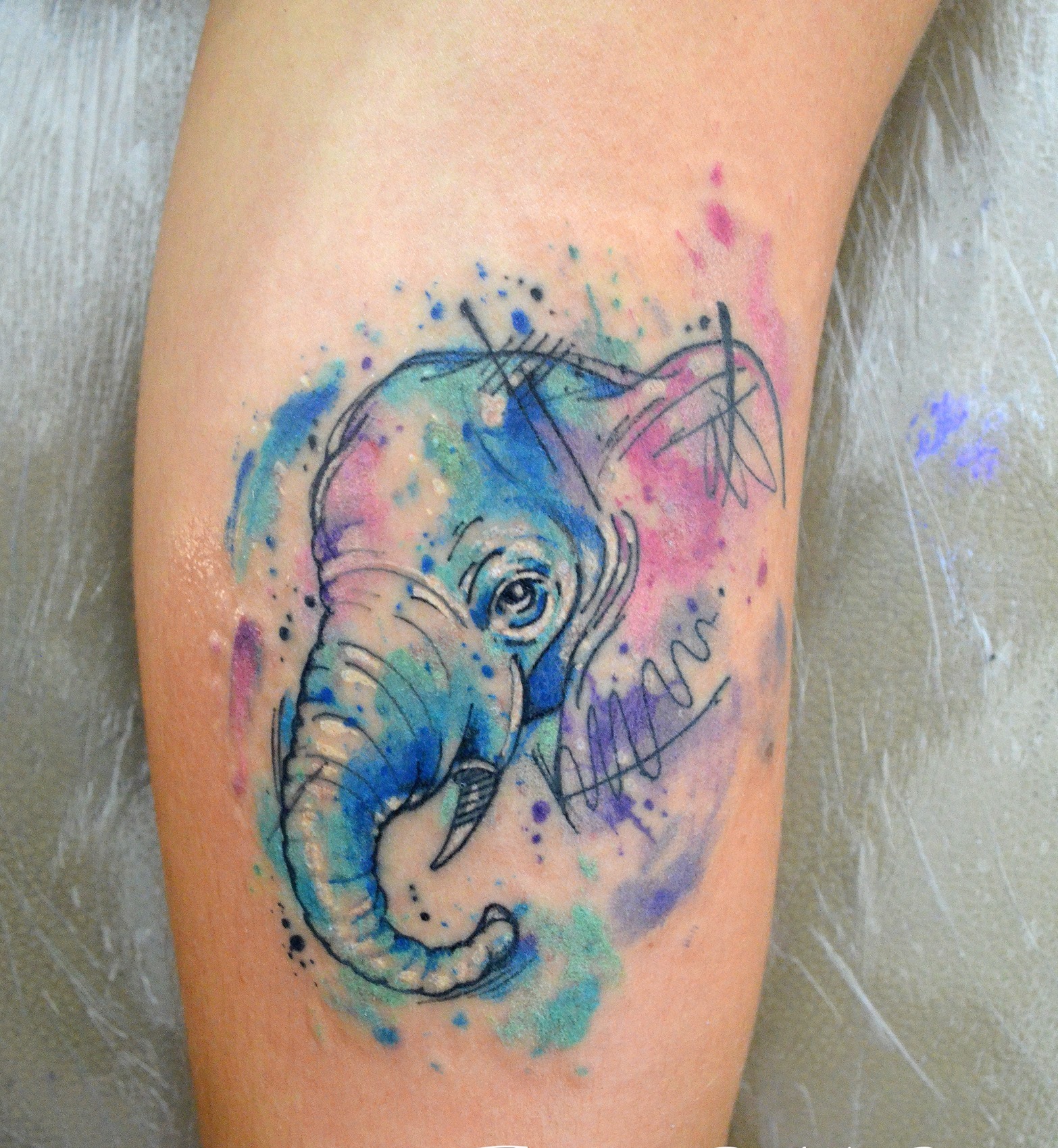 Elefante en Acuarelas by Javi Wolf
