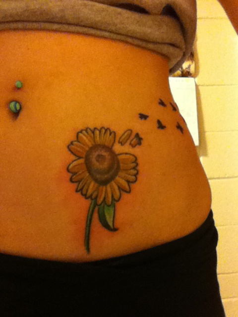 Flor de Girasol y Aves