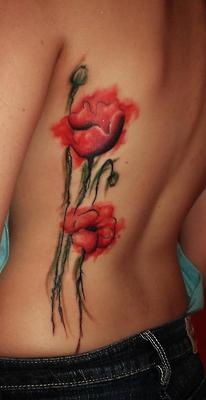 Flores de Amapolas