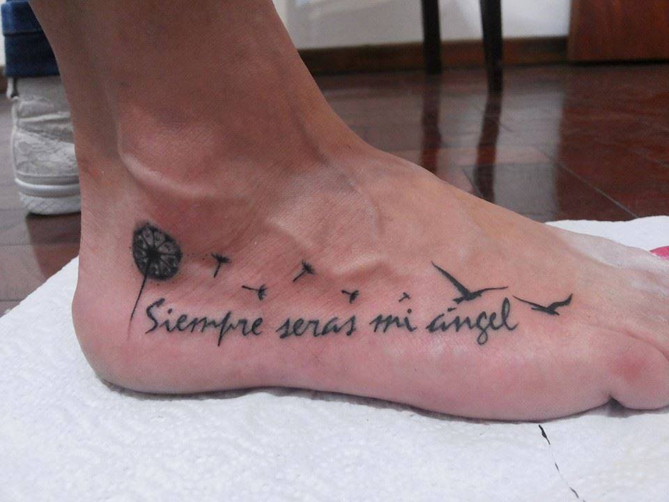 Frase, Aves y Diente de León