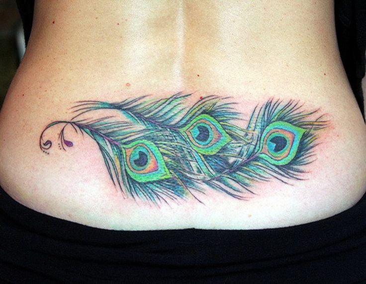 Pluma de Pavo Real