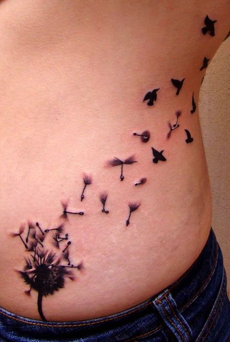 Diente de León, Aves y Espigas