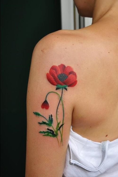Flor de Amapola