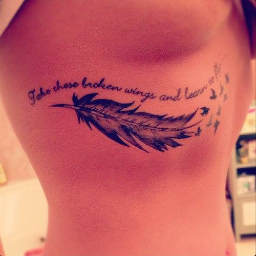Frase: Take these broken wings and learn to fly, Plumas y Aves