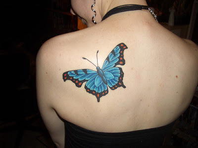 Mariposa Azul y Naranja