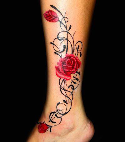 Rosas en Enredadera