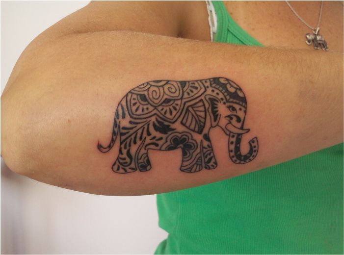 Elefante Hindú