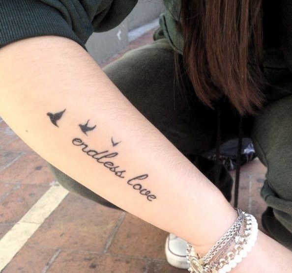 Frase: Endless Love y Aves