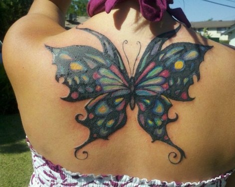 Mariposa con Colores
