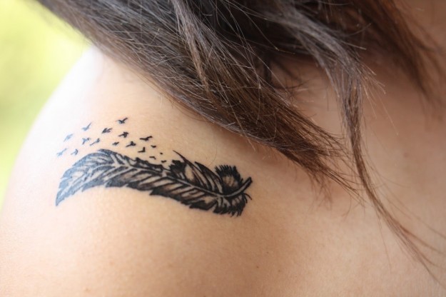 Pluma con Aves volando