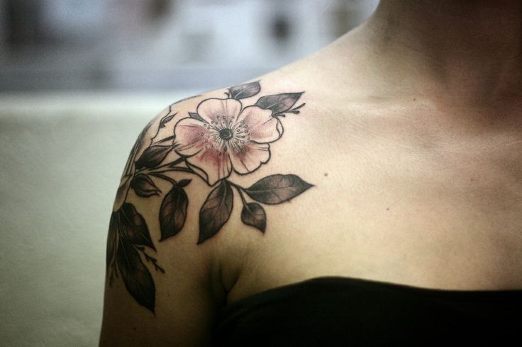 Flor & Plantas by Alice Carrier