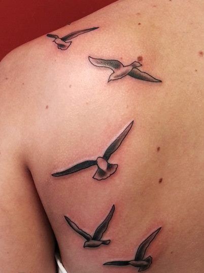 Gaviotas en vuelo