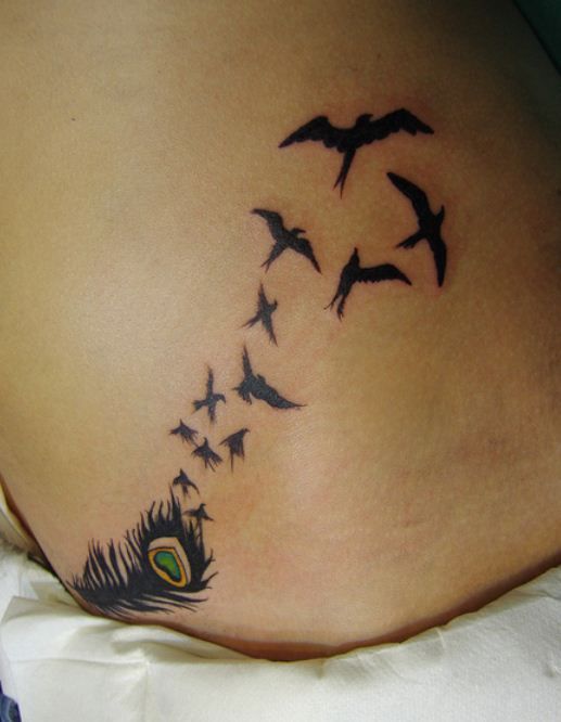 Pluma Pavo Real y Aves volando