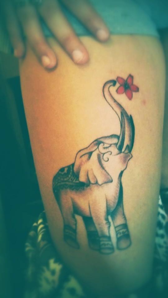 Elefante con flor
