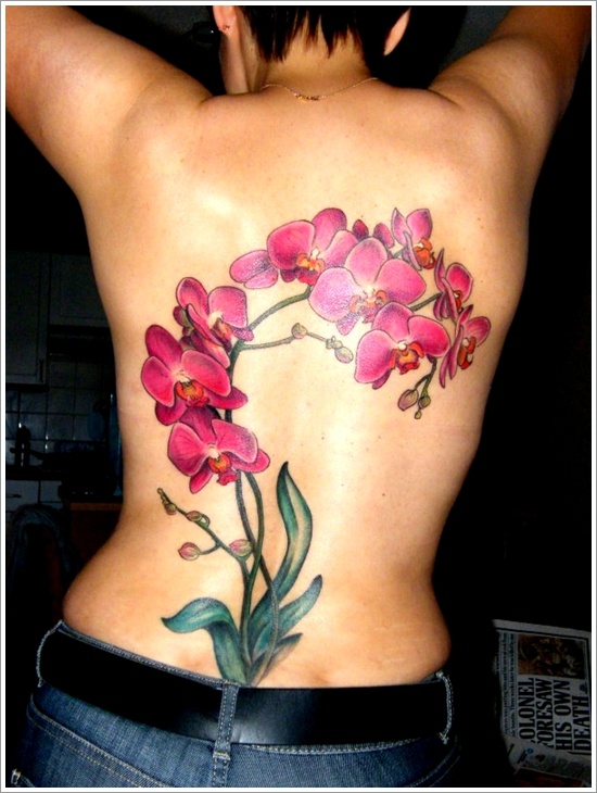Flores Orquídeas